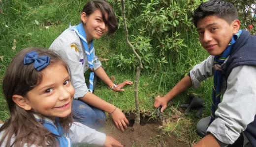 Ecuador Scouts planting