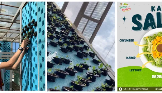 Sky Gardens 